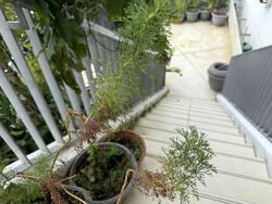 The Interlace (D4), Condominium #501023181